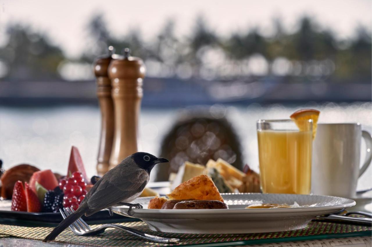 Fanar Hotel & Residences Salála Exteriér fotografie A bird at a breakfast table